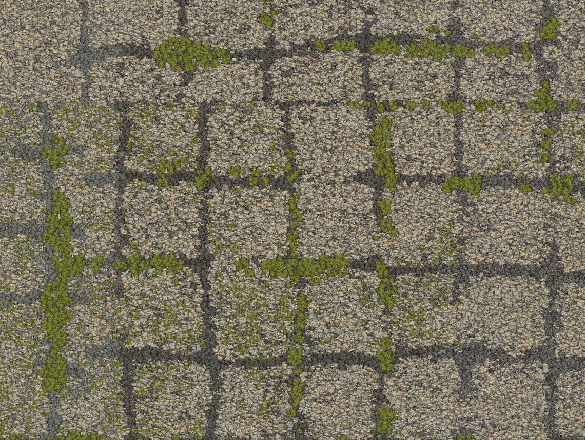 Moss In Stone - 105564 Granite Edge